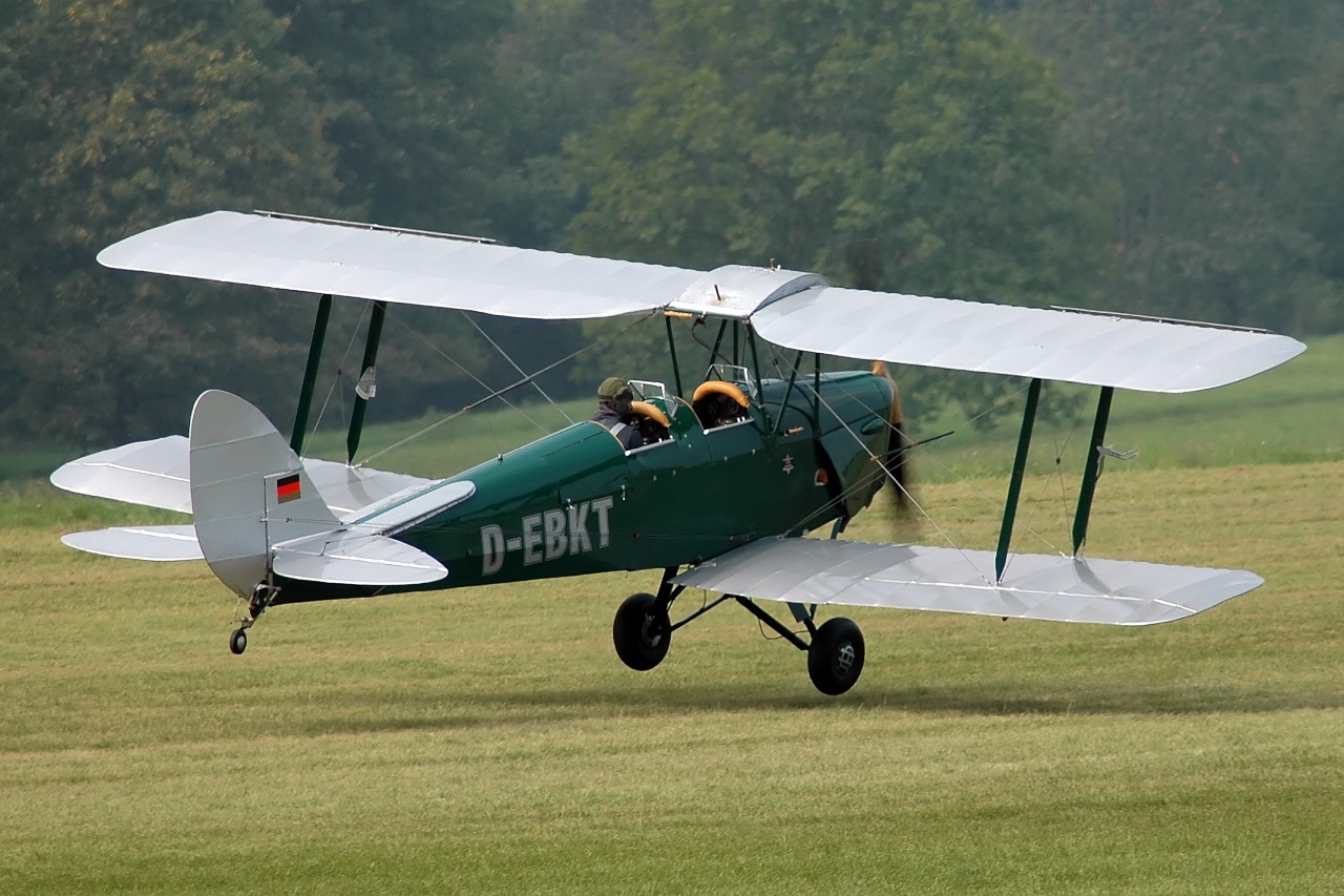 De Havilland DH.82 Tiger Moth next
